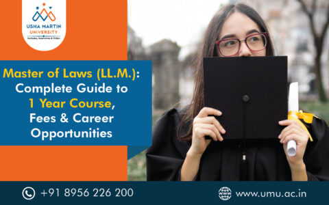 llm course