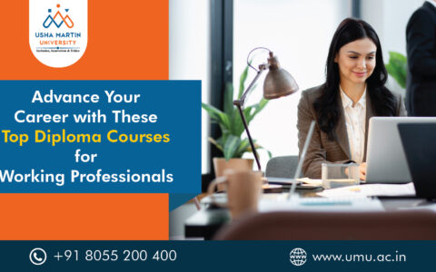 working professional diploma